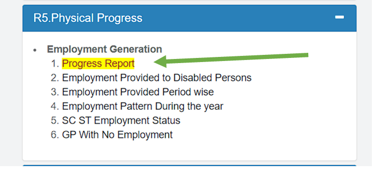 progress report